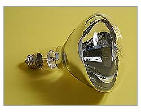 Bulb for heating lamp 375 watt at sweetART